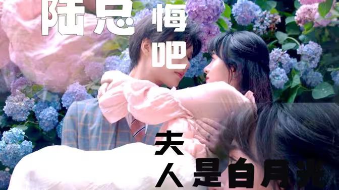 陸總懺悔吧，夫人才是白月光(全集)