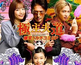 極主夫道 爆笑！砸場(chǎng)子SP