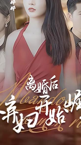 離婚后，從棄婦開始崛起(全集)