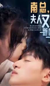 南總，夫人又出新款了(全集)