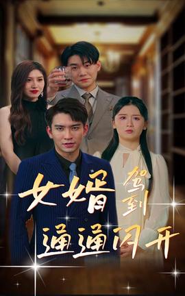 女婿駕到，通通閃開(全集)