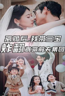 離婚后，我?guī)龑氄ǚ赘磺胺蚣瘓F(tuán)(全集)