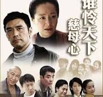 誰(shuí)憐天下慈母心短劇版(全集)