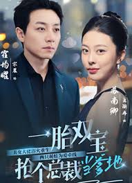 一胎雙寶，搶個總裁當(dāng)?shù)?全集)