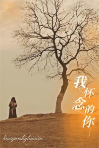 我懷念的你(全集)