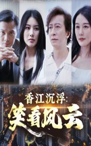 香江沉浮笑看風(fēng)云(全集)