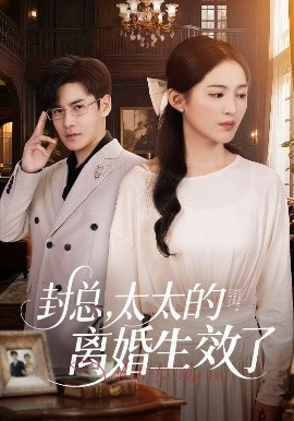 封總，太太的離婚生效了(全集)