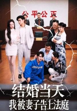 結婚當天我被妻子告上法庭(全集)