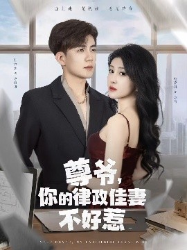 尊爺，你的律政嬌妻不好惹(全集)