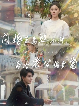 閃婚孕妻逃不掉，高冷老公偏要寵(全集)