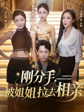 剛分手，被姐姐拉去相親(全集)