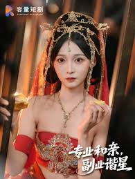 專業(yè)和親，副業(yè)諧星(全集)