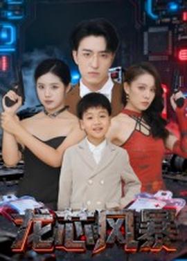 龍芯風(fēng)暴(全集)