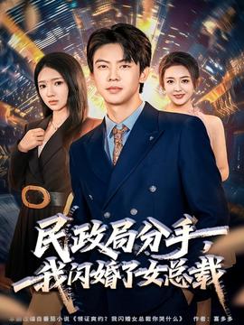 民政局分手，我閃婚了女總裁(全集)
