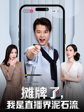 攤牌了，我是直播界泥石流(全集)