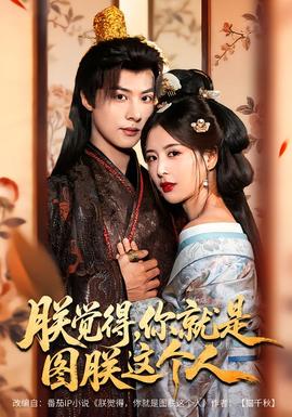 朕覺得，你就是圖朕這個人(全集)