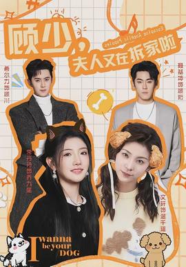 顧少，夫人又在拆家啦(全集)