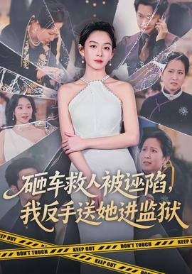 砸車救人被誣陷，我反手送她進監(jiān)獄(全集)