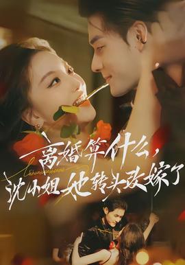 離婚算什么，沈小姐她轉(zhuǎn)頭改嫁了(全集)