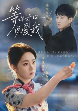 等你開口說(shuō)愛(ài)我(全集)