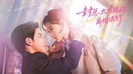 封總，太太跟你離婚很久了(全集)