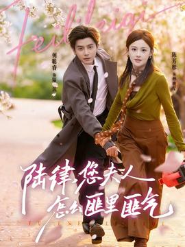 陸律，您夫人怎么匪里匪氣(全集)