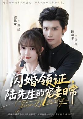閃婚領(lǐng)證，陸先生的寵妻日常(全集)